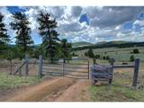 641 Old Kathleen Trl - Photo 30