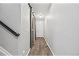 2633 Garganey Dr - Photo 5