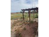 1537 Plaza De Los Leones Dr - Photo 12