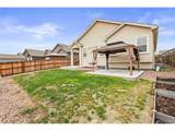 7194 Peachleaf Dr - Photo 37