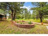 19070 White Fawn Dr - Photo 39