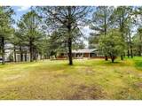 19070 White Fawn Dr - Photo 41