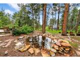19070 White Fawn Dr - Photo 42