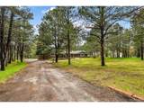 19070 White Fawn Dr - Photo 43
