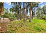 19070 White Fawn Dr - Photo 45