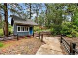 19070 White Fawn Dr - Photo 47
