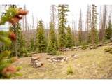 3190 Forest Road 503 - Photo 7
