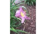 5475 Ottawa Ave - Photo 40