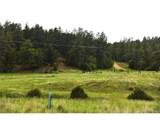  Spanish Highlands Filing 4 Lot 210, 211, & 212 - Photo 4