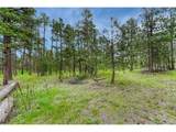 0 Wyandott Dr - Photo 6