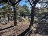 7138 Dunklau Rd - Photo 11