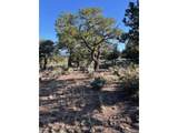 7138 Dunklau Rd - Photo 12