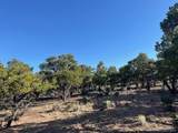7138 Dunklau Rd - Photo 14