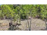 2338 Fitzsimmons Rd - Photo 24