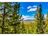 198 Mt Elbert Rd - Photo 8