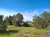0 County 113 Ln - Photo 46