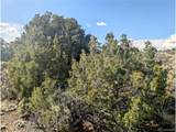 35 Elk Park Rd - Photo 29