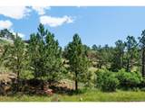 7137 Oak Valley Dr - Photo 4