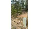 7 Virginia Canyon Rd - Photo 26