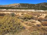  Leadville Land - Photo 1