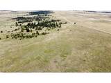 32011 Cattle Circle - Photo 4