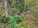  Aspen Way - Photo 31
