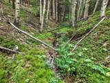  Aspen Way - Photo 32