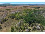 0 Divide Rd - Photo 28
