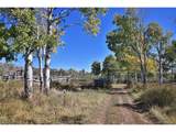 0 Divide Rd - Photo 4