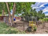 1304 Flora Dr - Photo 34