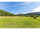 33822 Fishers Peak Pkwy - Photo 44