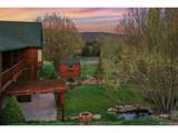427 Gray Horse Cir - Photo 38