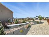 10088 Bison Valley Trl - Photo 41
