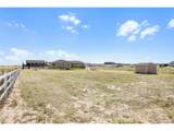 31501 161st Ct - Photo 39