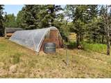 56 Blue Jay Ln - Photo 36