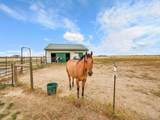 10660 Schumaker Rd - Photo 29