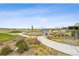 11415 Warm Wind St - Photo 49