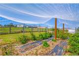 36023 Winchester Rd - Photo 42