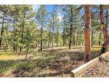 33624 Iroquois Trl - Photo 44