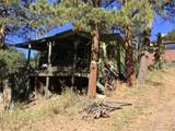 26130 Edelweiss Cir - Photo 30