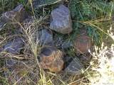 26130 Edelweiss Cir - Photo 62