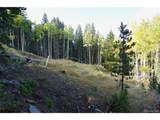 429 Sawmill Ln - Photo 21