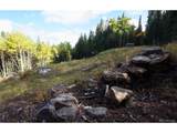 429 Sawmill Ln - Photo 24