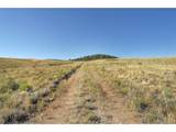 1245 Badger Creek Rd - Photo 10