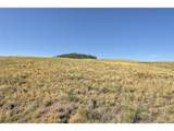 1245 Badger Creek Rd - Photo 9