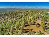 33250 Fox Trail - Photo 1