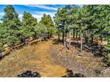33250 Fox Trail - Photo 10