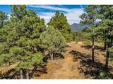 33250 Fox Trail - Photo 11