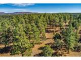 33250 Fox Trail - Photo 12