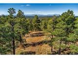 33250 Fox Trail - Photo 13